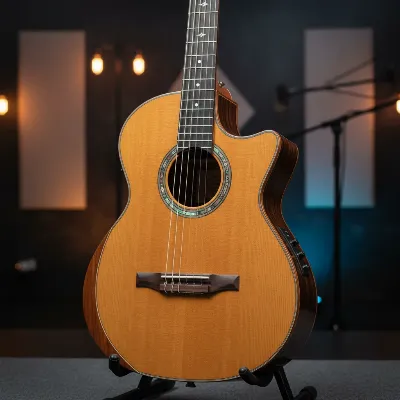 A modern crossover classical guitar with electronics and a cutaway