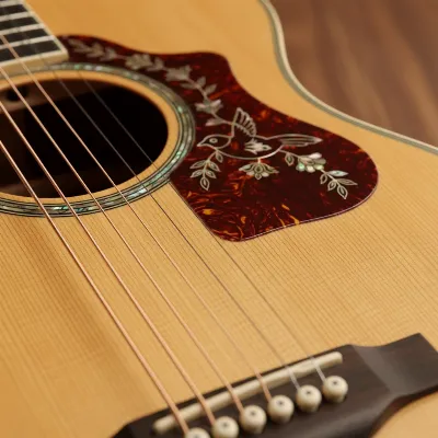 Epiphone Hummingbird Review: Is it Worth Buying?